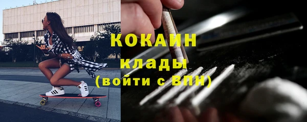гашик Белоозёрский