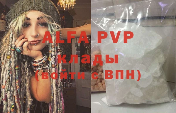 дживик Белокуриха
