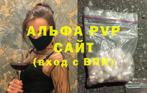 дживик Белокуриха