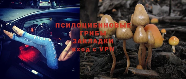 гашик Белоозёрский