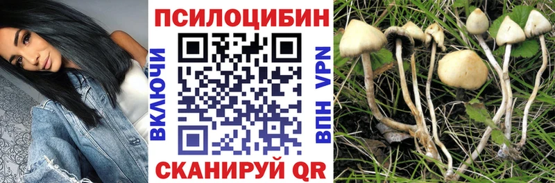 blacksprut tor Светогорск Псилоцибиновые грибы Cubensis