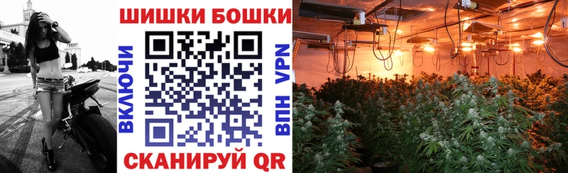 Бошки Шишки сатива  Светогорск 